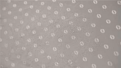 Outwell Universal Extension Size 3 -Camping Equipment Store 110997 universal extension size 3 feature photo 8